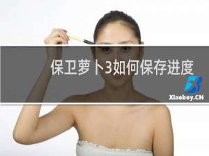 保卫萝卜3如何保存进度