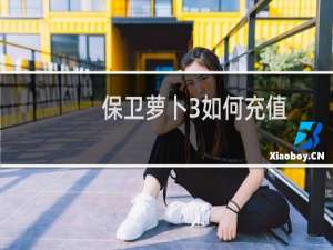 保卫萝卜3如何充值