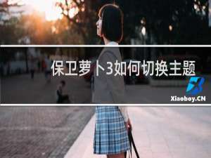 保卫萝卜3如何切换主题