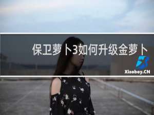 保卫萝卜3如何升级金萝卜