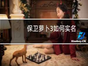 保卫萝卜3如何实名