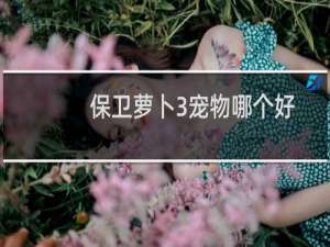 保卫萝卜3宠物哪个好