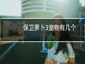 保卫萝卜3宠物有几个