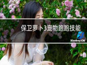 保卫萝卜3宠物跑跑技能