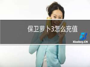 保卫萝卜3怎么充值