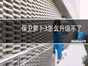 保卫萝卜3怎么升级不了