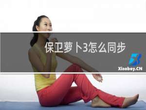 保卫萝卜3怎么同步