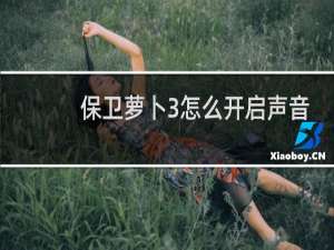保卫萝卜3怎么开启声音