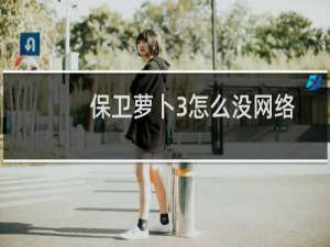 保卫萝卜3怎么没网络