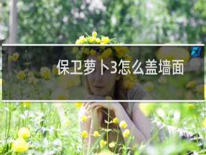 保卫萝卜3怎么盖墙面
