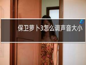 保卫萝卜3怎么调声音大小
