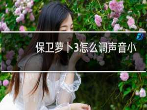 保卫萝卜3怎么调声音小