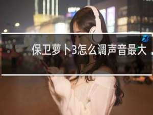 保卫萝卜3怎么调声音最大