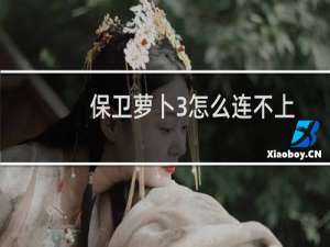 保卫萝卜3怎么连不上