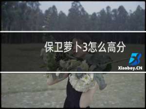保卫萝卜3怎么高分