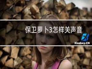 保卫萝卜3怎样关声音