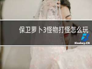 保卫萝卜3怪物打怪怎么玩