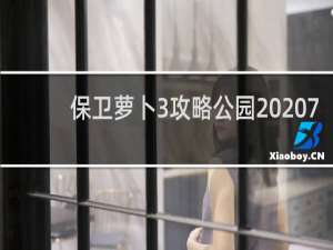 保卫萝卜3攻略公园  7