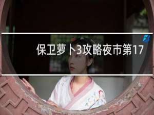 保卫萝卜3攻略夜市第17