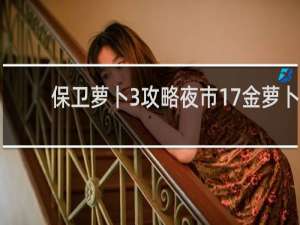 保卫萝卜3攻略夜市17金萝卜