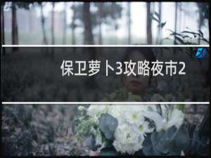 保卫萝卜3攻略夜市2