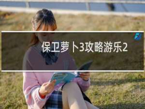 保卫萝卜3攻略游乐2