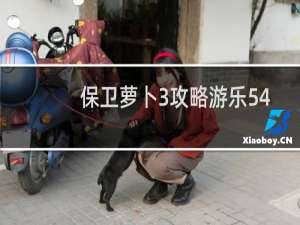 保卫萝卜3攻略游乐54
