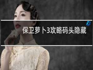 保卫萝卜3攻略码头隐藏