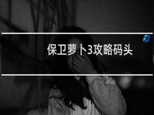 保卫萝卜3攻略码头