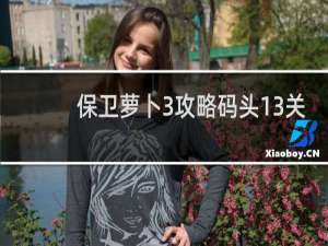 保卫萝卜3攻略码头13关