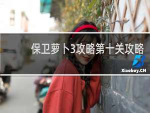 保卫萝卜3攻略第十关攻略