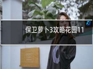 保卫萝卜3攻略花园11