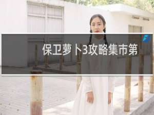 保卫萝卜3攻略集市第