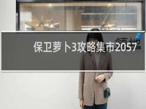保卫萝卜3攻略集市 57