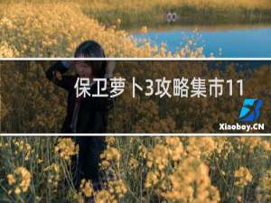 保卫萝卜3攻略集市11