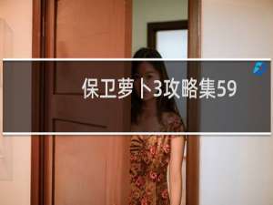 保卫萝卜3攻略集59