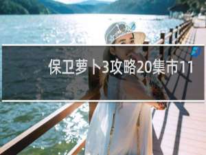 保卫萝卜3攻略 集市11
