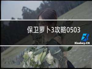 保卫萝卜3攻略0503