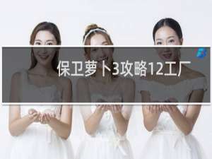 保卫萝卜3攻略12工厂