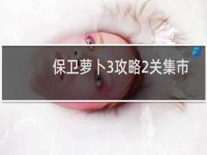 保卫萝卜3攻略2关集市