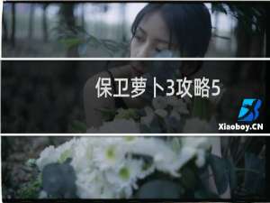 保卫萝卜3攻略5