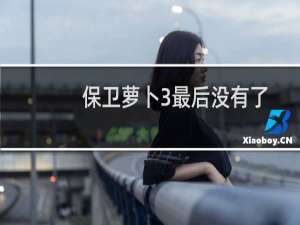 保卫萝卜3最后没有了