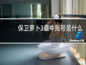 保卫萝卜3最牛账号是什么
