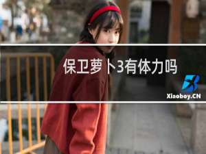 保卫萝卜3有体力吗