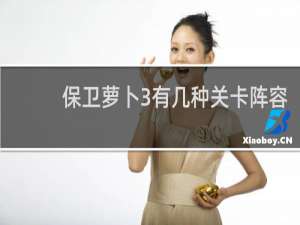 保卫萝卜3有几种关卡阵容