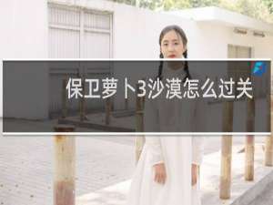 保卫萝卜3沙漠怎么过关