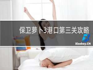 保卫萝卜3港口第三关攻略
