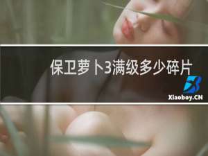保卫萝卜3满级多少碎片