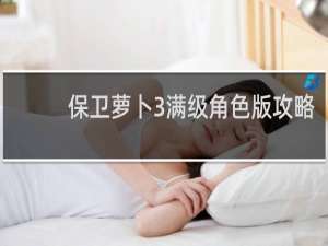 保卫萝卜3满级角色版攻略