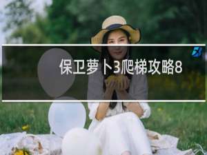 保卫萝卜3爬梯攻略8